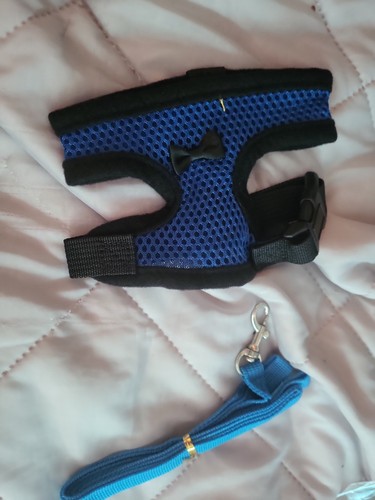 Small animal harness - harness, and
