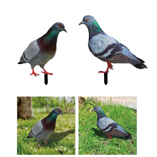 Pigeon garden stake - ,