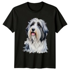 Cute Bearded Collie Dog