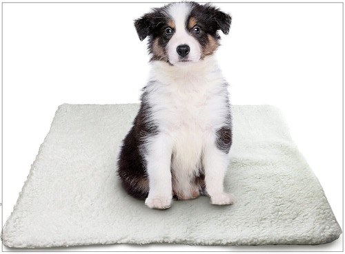Self heating pet - self,