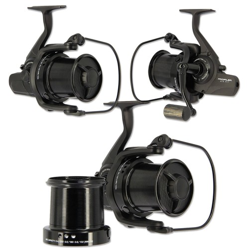 Carp fishing big pit - carp,