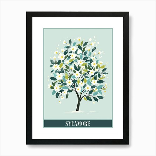 Sycamore tree flat - sycamore,