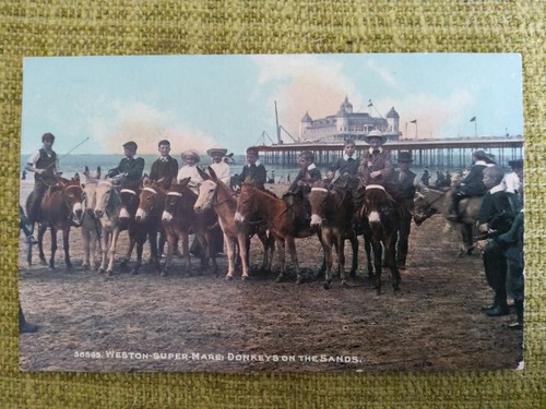 Weston super mare - donkeys, on