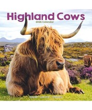 Highland Cows Calendar 2026