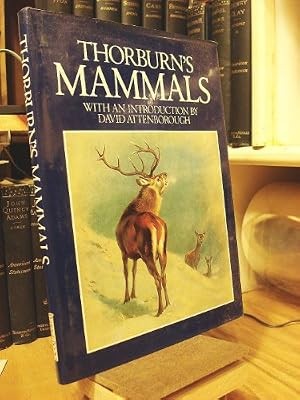 Thorburns mammals archibald - thorburns, mammals,