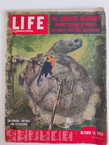 Life international magazine - international,