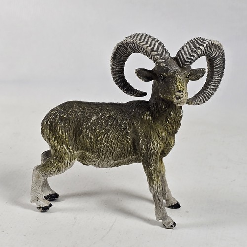 Big horn sheep - sheep, animal
