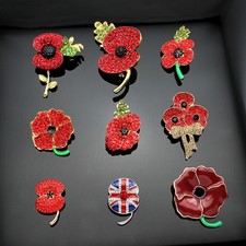 2025 UK Poppi Pin Badges