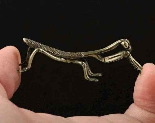Praying mantis fine lifelike - praying,