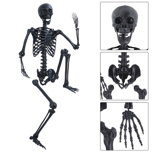 Halloween skeleton oversized - halloween,