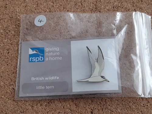 Rspb little tern series gnah - little,