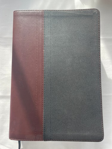 Niv study bible - study,