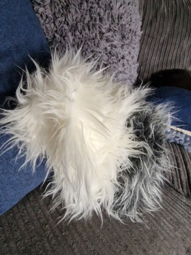 Dulux dog fluffy grey white - fluffy,