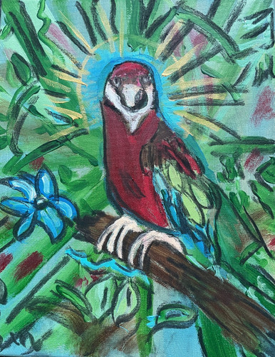 Soul scarlet macaw 14 - macaw,