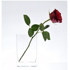 Rectangular Glass Vase Small