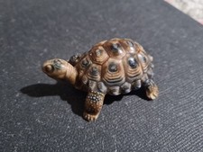 Wade Tortoise Collectable