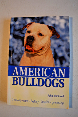 American bulldogs john - american,