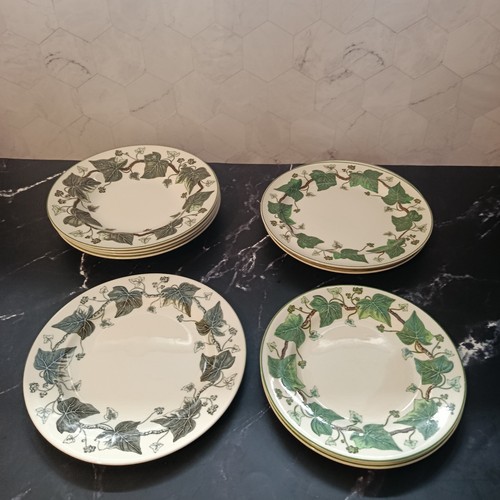 Wedgwood napoleon ivy - 10,