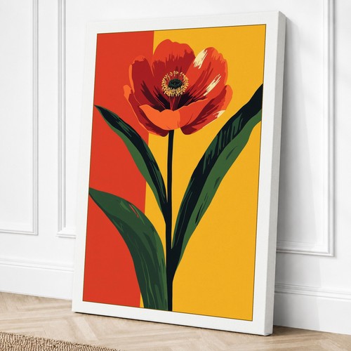 Red poppy study botanical - poppy,