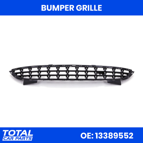 Lower radiator grille front - lower,