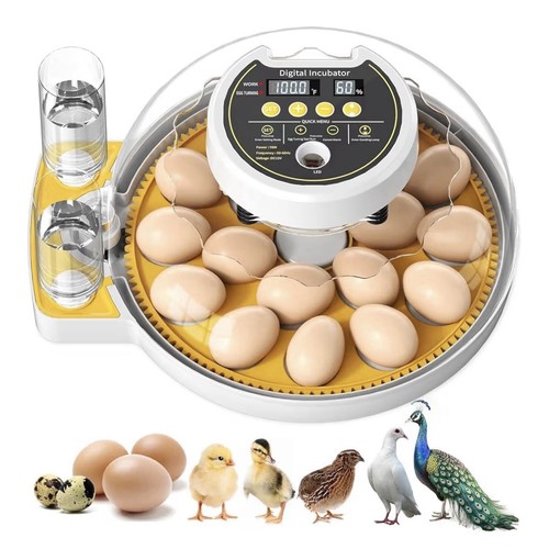 60egg incubator automatic - 18-60egg,
