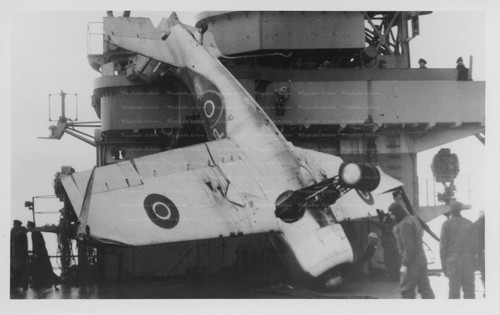 Grumman wildcat aviation - wildcat,