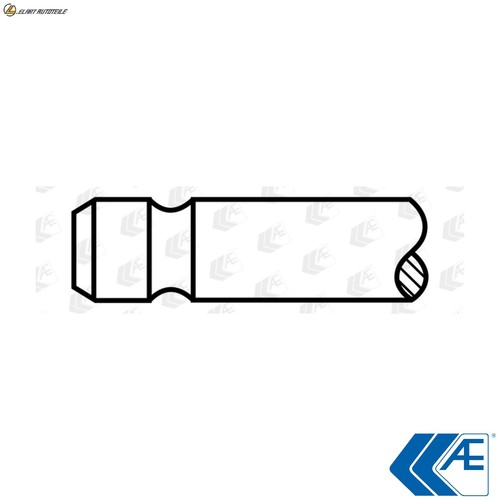 Exhaust valve v95236 for - valve,