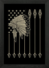 Native american flag framed - american,