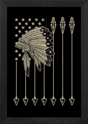 Native american flag - native, framed