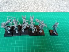 Dark Elf Witches and Sorceress