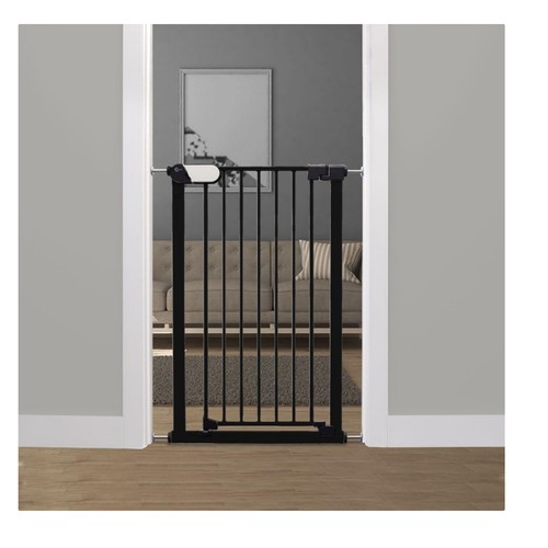 Saluki tall narrow pet - &,