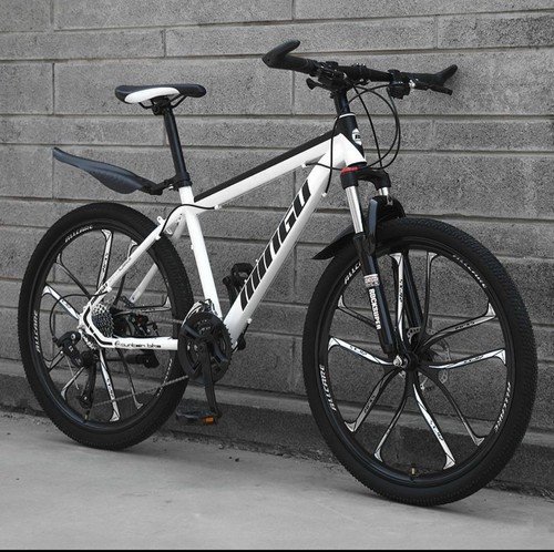 Mountain bike 26inch disc - mountain,