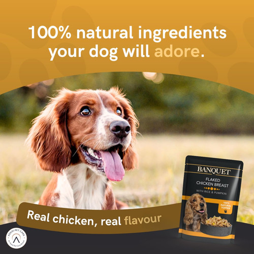 Hilife banquet dog food - banquet,
