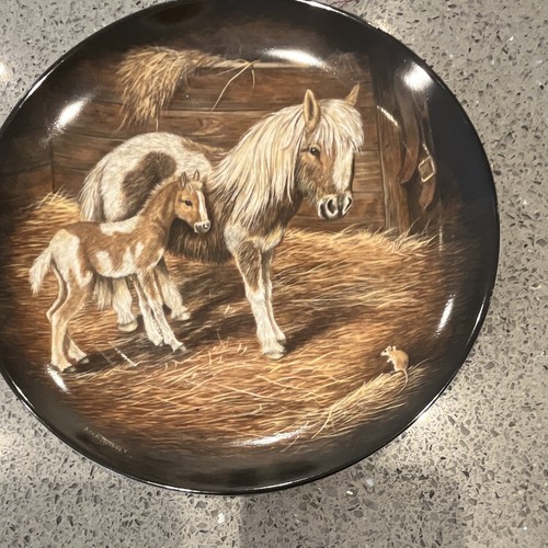 Horse and foul in - and,