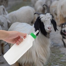 Lamb Creep Feeder Sheep