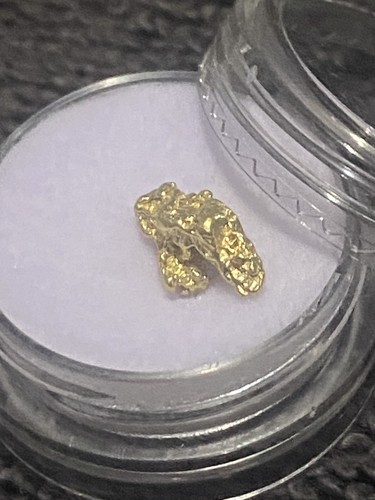 04g raw gold alaskan nuggets - alaskan,