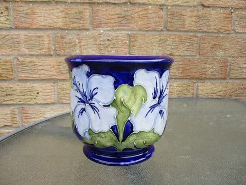 Moorcroft blue hibiscus on - moorcroft,