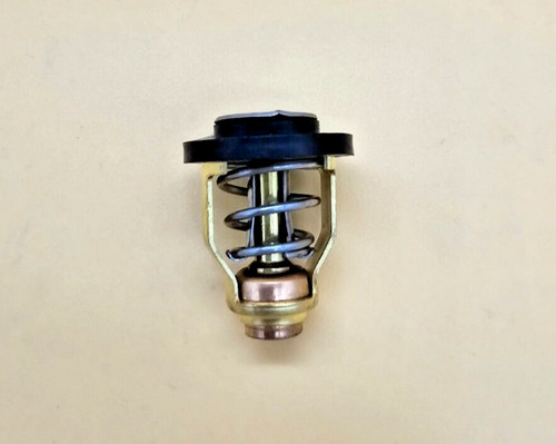 Thermostat for yamaha - thermostat,