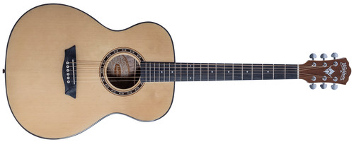 Washburn apprentice series - washburn,