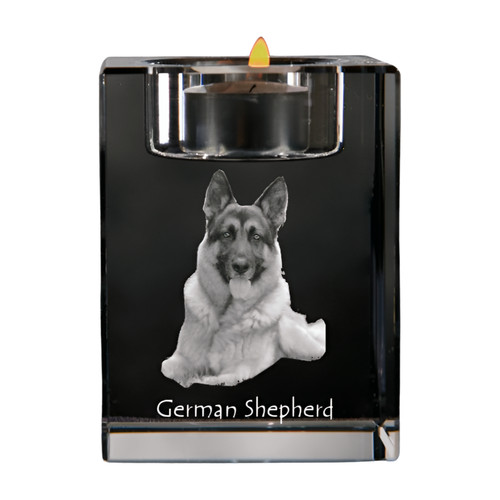 German shepherd dog - german,