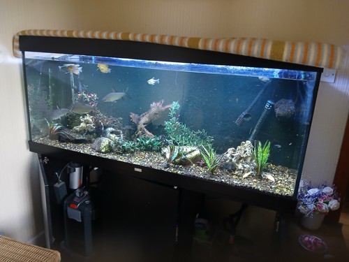 Juwel 450 litre aquarium - litre,