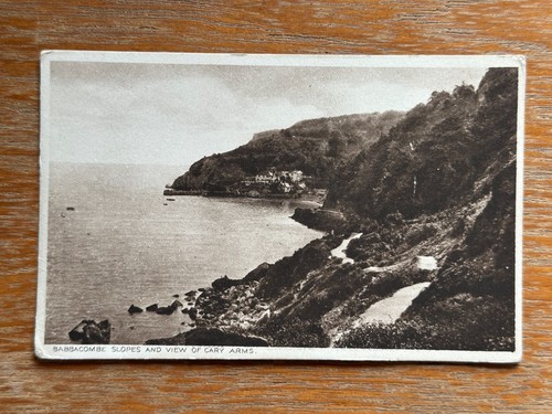 Antique postcard babbacombe - antique,