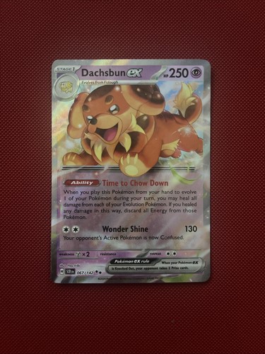 Pokemon tcg dachsbun holo - pokemon,