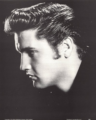 Elvis presley portrait - 8,