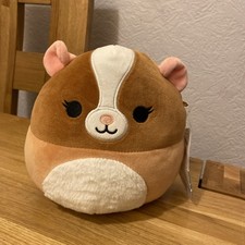 Garret the Guinea Pig