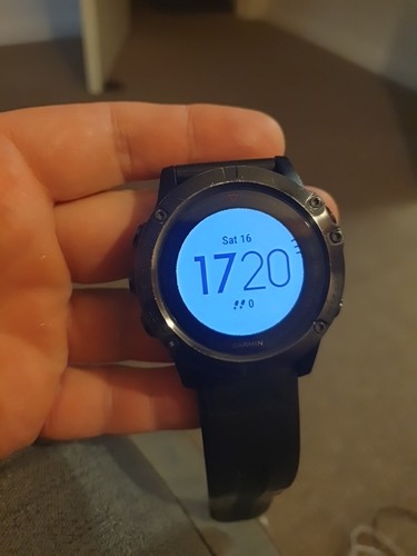 Garmin fenix sapphire - garmin,