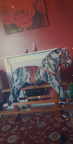 Pegasus crew appaloosa - of,