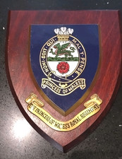 The Princess of Wales's Royal