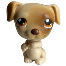 Littlest Pet Shop LPS Jack