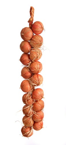 Best artificial 80cm onion - best,